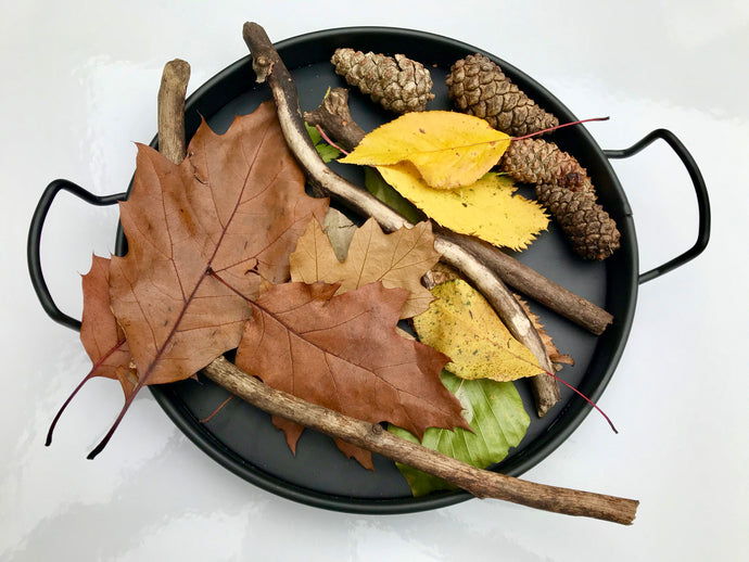 Nature Tray